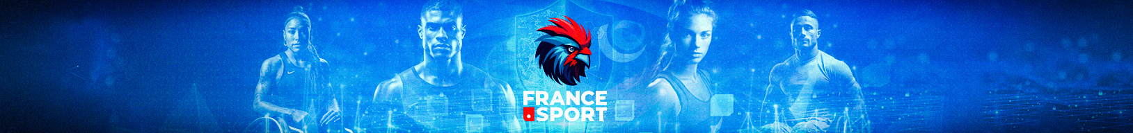 banniere insep